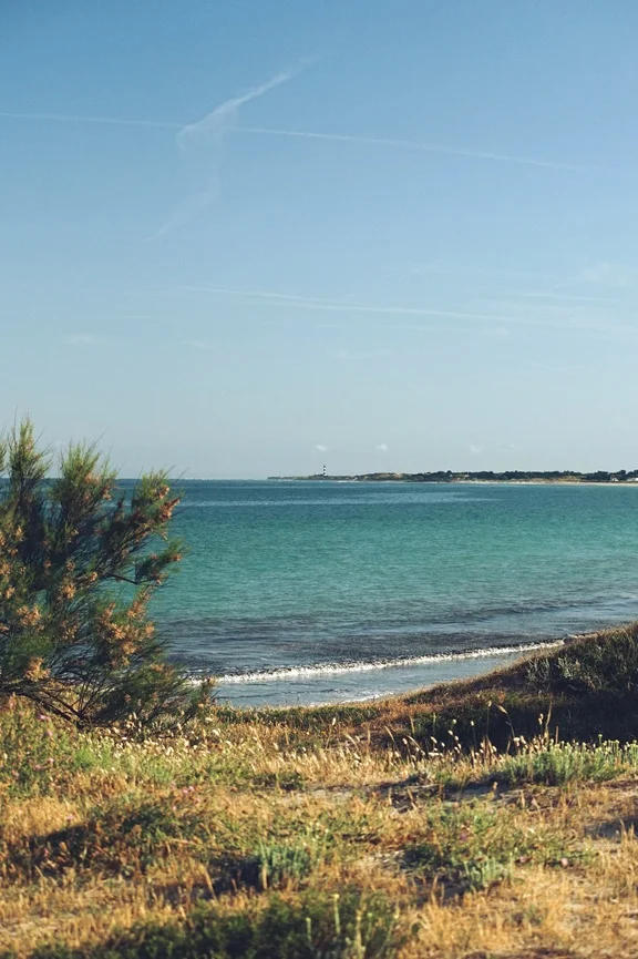Vue du phare de Chassiron depuis Chaucre